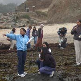 Fitzgerald Marine Reserve - low low tide - thats right the are standing on the "floor" of the ocean - Parks Near Me - Moss Beach, California Fitzgerald Marine Reserve - low low tide - thats right the are standing on the "floor" of the ocean - Parks Near Me - Moss Beach, California