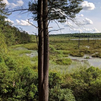 Pharsalia Forest - More outlook - Public Services & Government Near Me - South Plymouth, New York Pharsalia Forest - More outlook - Public Services & Government Near Me - South Plymouth, New York