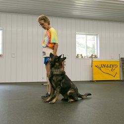 Nikki Banfield's School For K9's
