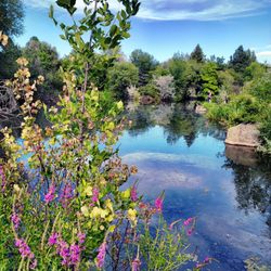 Kathryn Albertson Park