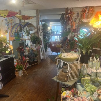 Sunshine Joe’s Coffee Shop - Coffee & Tea Near Me - Largo, Florida