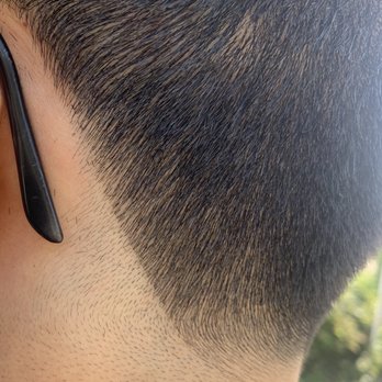 Berkeley Barbers - Terrible tapered cut - Barbers Near Me - Santa Monica, California