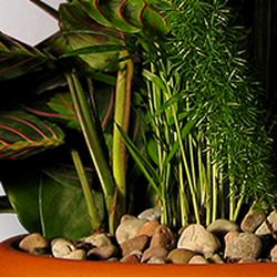 Lubliner Florist