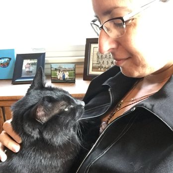 Mama Bear Pet Care - Coco - shy cat in my lap! - Pet Sitting Near Me Mama Bear Pet Care - Coco - shy cat in my lap! - Pet Sitting Near Me