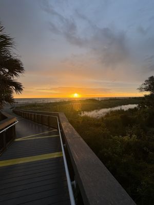 Venice Beach by null