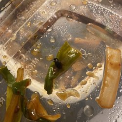 Great Wall Chinese Restaurant - GROSS!!