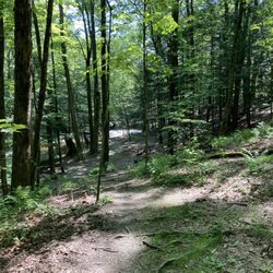 Schodack Town Park