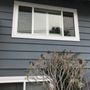 Golden State Windows