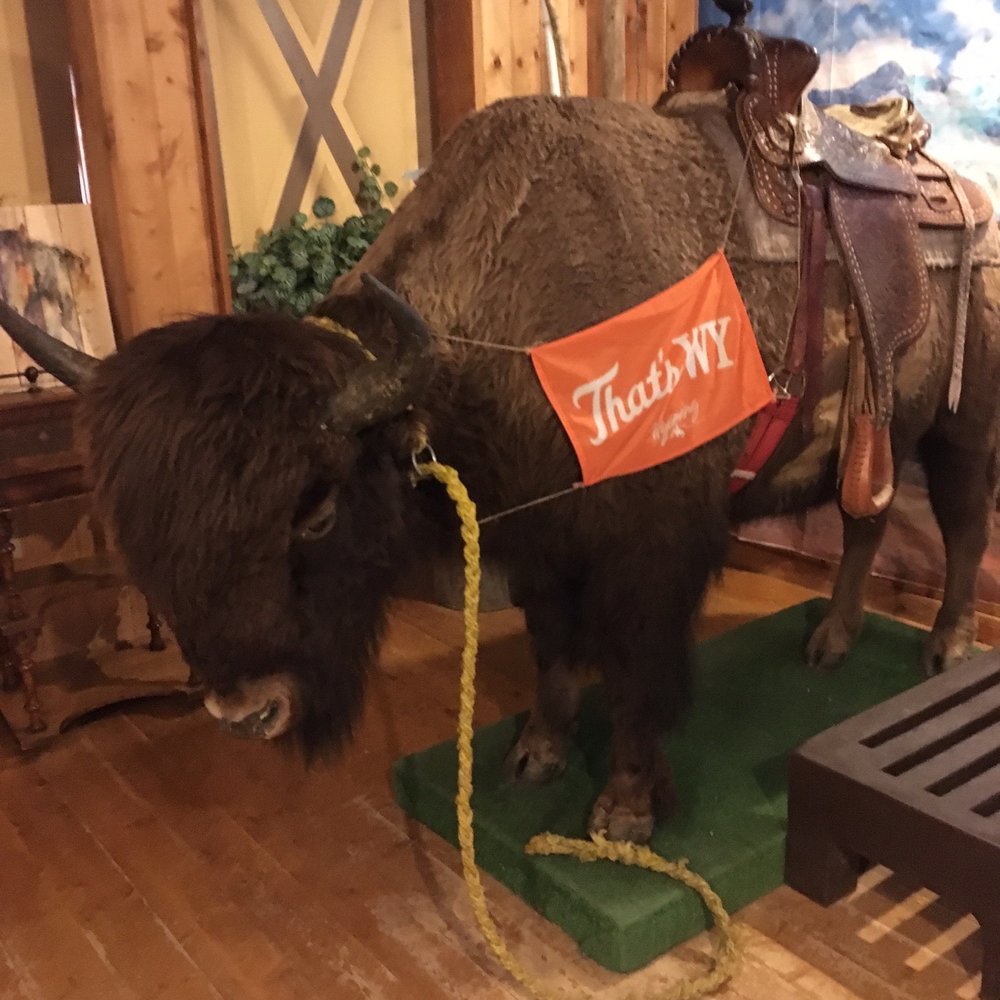 Terry Bison Ranch Resort - Venues & Event Spaces Near Me - Cheyenne, Wyoming Terry Bison Ranch Resort - Venues & Event Spaces Near Me - Cheyenne, Wyoming