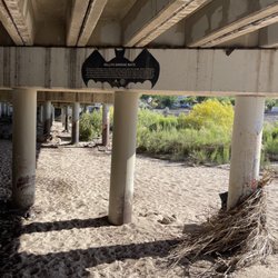 Rillito River Park - Bat Information