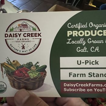 Daisy Creek Farms - Pick Your Own Farms Near Me - Galt, California