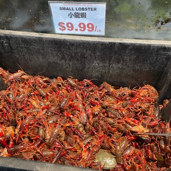 25th Irving Supermarket - These were live. - International Grocery Near Me - San Francisco, California