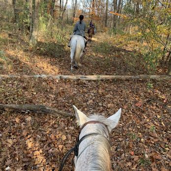 Serene Horse Ranch - Horseback Riding Near Me - Layton, New Jersey Serene Horse Ranch - Horseback Riding Near Me - Layton, New Jersey