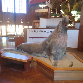 Bear Valley Visitor Center - Visitor Centers Near Me - Point Reyes Station, California