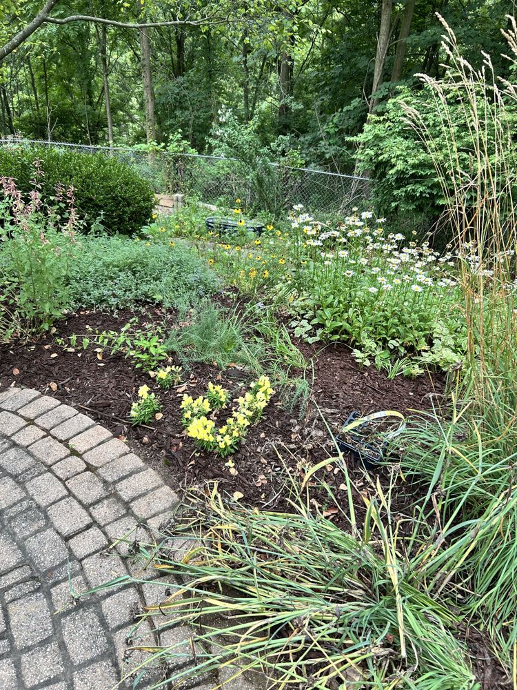 Tex Mex Lawn and Landscaping - tree service in Grass Lake, MI