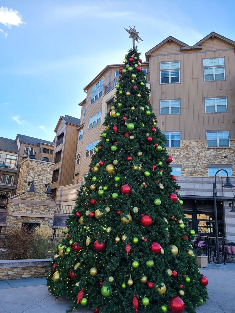 ASPEN PLACE AT THE SAWMILL Updated September 2024 319 Regent St