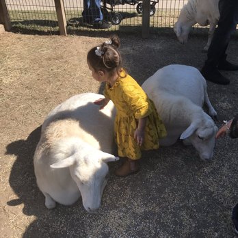 Old MacDonald's Farm - Venues & Event Spaces Near Me - Humble, Texas Old MacDonald's Farm - Venues & Event Spaces Near Me - Humble, Texas