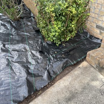 DMP Services - Mulch preparation - Lawn Services Near Me DMP Services - Mulch preparation - Lawn Services Near Me