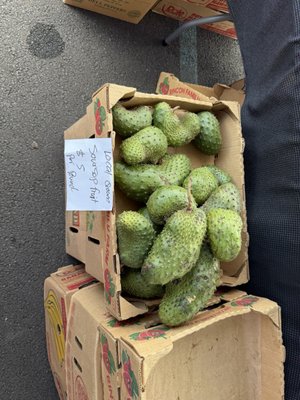 Pure Kona Green Market by null