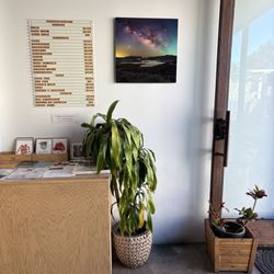 Constellation Coffee - View from the counter / menu