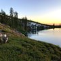 Photo of Lake Carr Campground