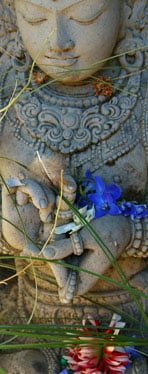 Growing Still Psychotherapy with Uma Kahn - grief counselor in Oakland, CA