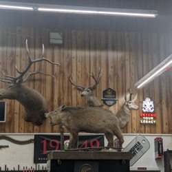 Smith & Edwards - Sporting goods