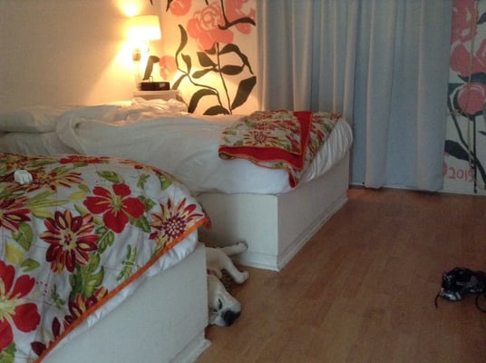 San Vicente Bungalows by null San Vicente Bungalows by null