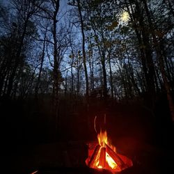 Black Forest Family Camping Resort - Relaxing by the fire pit.