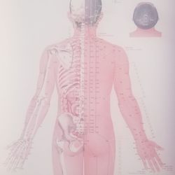 Holly's Massage & Spa - Bilingual diagram of how hard they're about to squeeze.