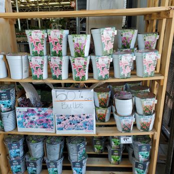 The Home Depot - Nurseries & Gardening Near Me - Hutto, Texas