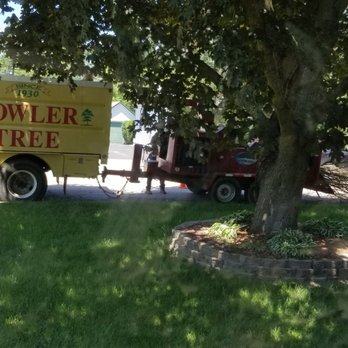 Fowler Tree Surgery - undefined - Firewood Near Me - Elgin, Illinois