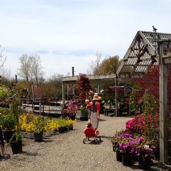 Landscape nursery ann arbor