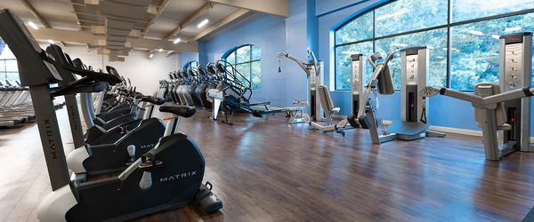 Onelife Fitness Commerce