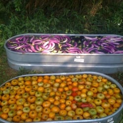 Earth Spring Farm