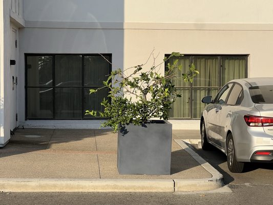 The Darling Hotel by null