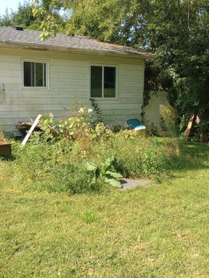 Janette & Son's Excavating Septic Services