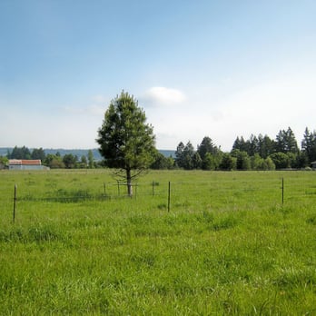 Springbrook Estates - Property Management Near Me - Newberg, Oregon Springbrook Estates - Property Management Near Me - Newberg, Oregon