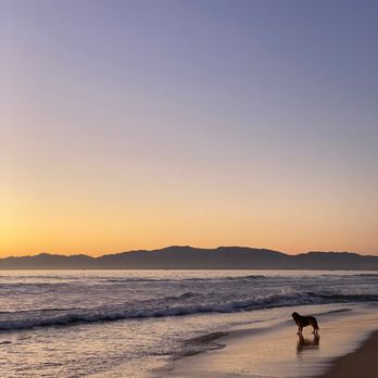 Dockweiler State Beach - Dog - Beaches Near Me - Playa Del Rey, California Dockweiler State Beach - Dog - Beaches Near Me - Playa Del Rey, California
