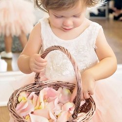 Wedding flower girl