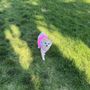 Photo of Maggie's Farm Natural Pet Grooming