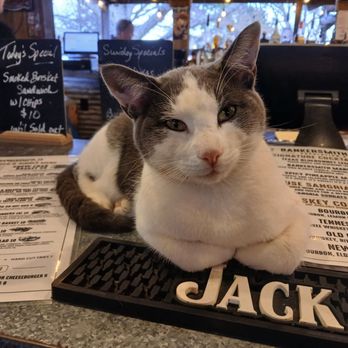 Bankersmith - Banker the sweetest cat! - Dive Bars Near Me - Fredericksburg, Texas Bankersmith - Banker the sweetest cat! - Dive Bars Near Me - Fredericksburg, Texas