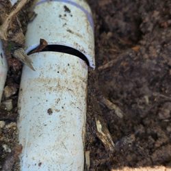 Boyd Septic Service - Example of defectively installed septic field plumbing joint.