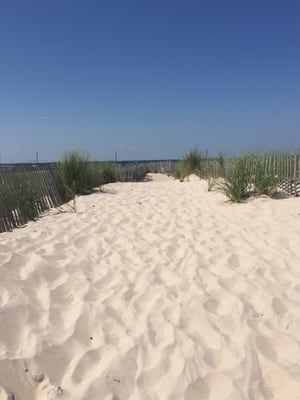 Ponquogue Beach by null