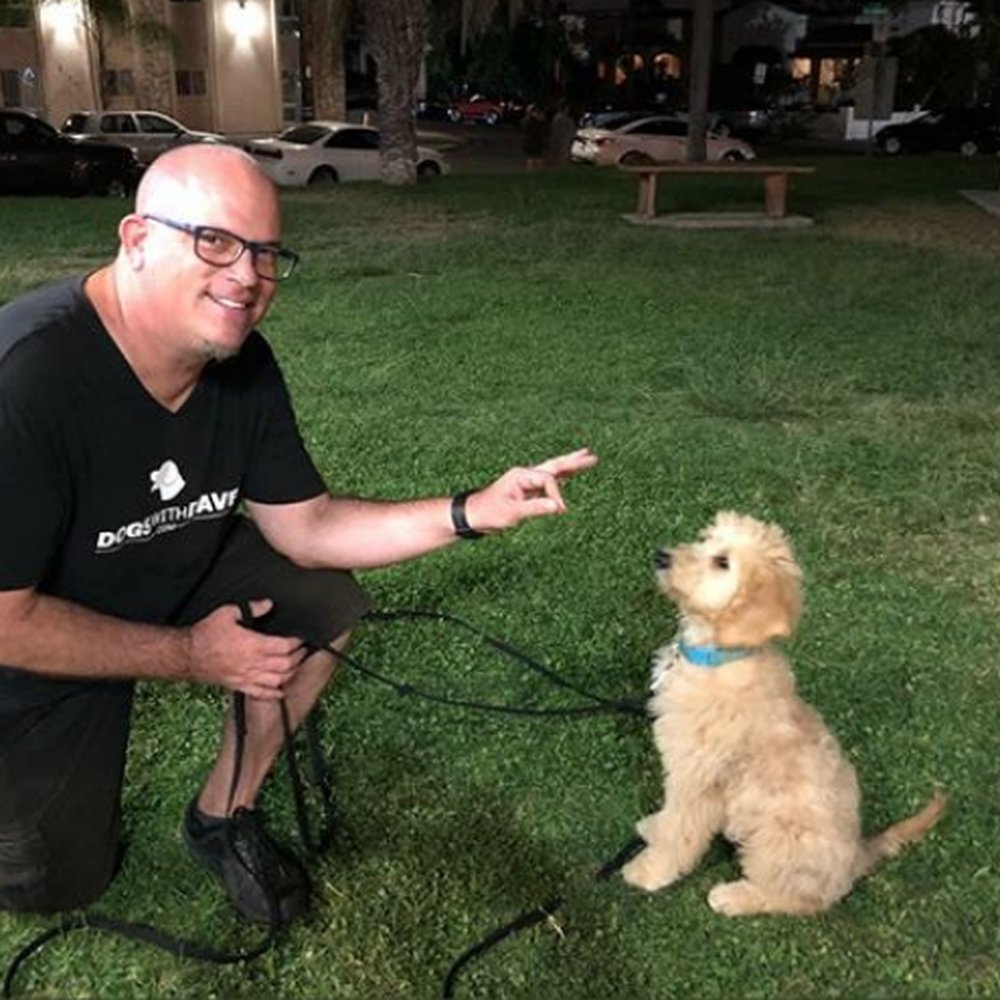 Biscuit's first day of training! Biscuit's first day of training!