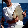 Photo of Fishful Thinking