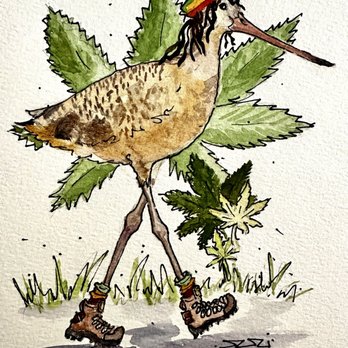 Blue Pelican Gallery - Rasta Godwit... so many birds wearing shoes! - Art Galleries Near Me - Fort Bragg, California Blue Pelican Gallery - Rasta Godwit... so many birds wearing shoes! - Art Galleries Near Me - Fort Bragg, California