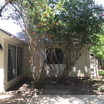 Austin Tree Care Service - After - Tree Services Near Me - Dale, Texas