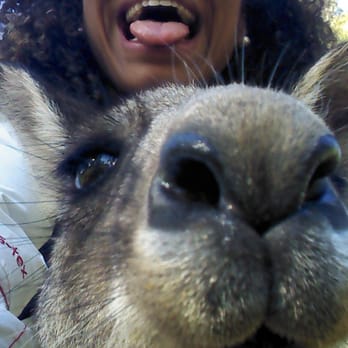 Morisset Park - Selfie! - Parks Near Me - Morisset Park, NSW
