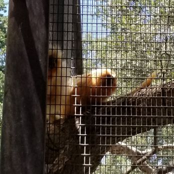 Micke Grove Zoo - Zoos Near Me - Lodi, California